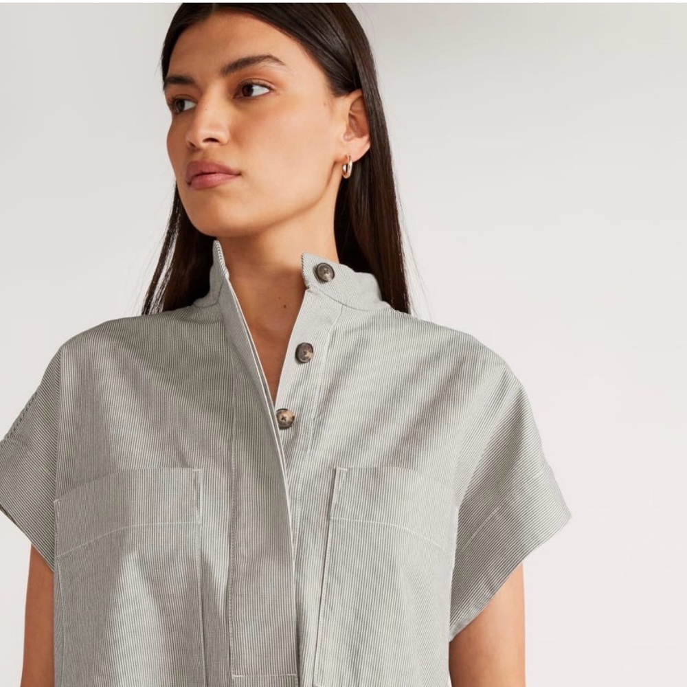 Everlane Easy Workwear Dress - Tan and Navy Stripes - Picture 8 of 9